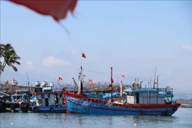 Illustrative image (Photo: VNA)