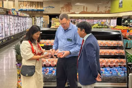 Bringing Vietnamese lychees to a high-profile retailer like Costco is not only a commercial achievement but also a testament to the effectiveness of a well-coordinated supply chain. (Photo: Industry and Trade Magazine)