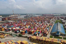 A view of Cai Mep - Thi Vai Port in Ho Chi Minh City (Photo: VNA)