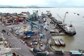 Loading goods for delivery at Quy Nhon Port in Gia Lai province (Photo: VNA)
