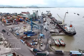 Loading goods for delivery at Quy Nhon Port in Gia Lai province (Photo: VNA)