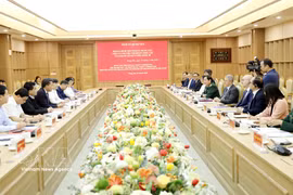 The working session between the Belgian delegation and the Party Committee of Hung Yen province on March 19 (Photo: VNA)
