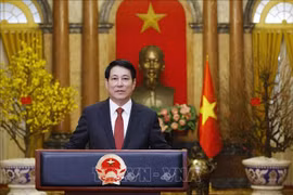 State President Luong Cuong (Photo: VNA)