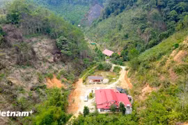 The family of Riah Ka, a member of the Co Tu ethnic group, is among the local households that have effectively used policy-based loans to develop their economy and improve their livelihoods. (Photo: VietnamPlus)
