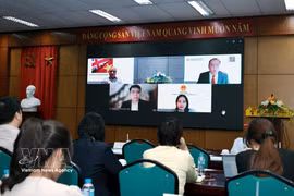 Participants in the hybrid seminar on May 11. (Photo: VNA)