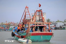 Under a resolution adopted by Quang Ngai provincial People’s Council at its 8th session on December 30, owners who dismantle their fishing vessels will receive a one-off support payment equivalent to 40% of the vessel’s assessed value at the time of valuation (Photo: VNA)