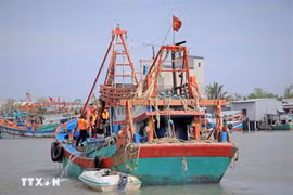 Under a resolution adopted by Quang Ngai provincial People’s Council at its 8th session on December 30, owners who dismantle their fishing vessels will receive a one-off support payment equivalent to 40% of the vessel’s assessed value at the time of valuation (Photo: VNA)