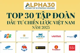 The inaugural ALPHA30 ranking of the top 30 strategic investment corporations in Vietnam this year. (Source: thuehaiquan.tapchikinhtetaichinh.vn)