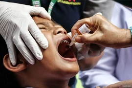 File photo - A health worker administers polio vaccine drops to a child during National Polio Immunisation Week (PIN) in Palangka Raya, Central Kalimantan, July 23, 2024. (Photo: ANTARA) 