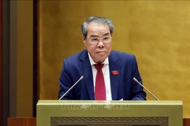 Chairman of the NA Committee for Ombudsman and Supervision Duong Thanh Binh delivering the report (Photo: VNA)