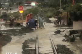 A railway section is flooded in Nam Cam Ranh commune, Khanh Hoa province. (Photo: VNA)