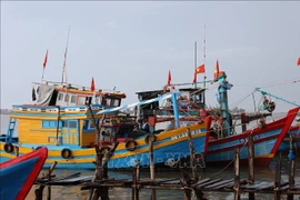 A fishing boat operates off the coast of Ho Chi Minh City (Photo: VNA)