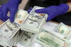 The US dollar at Vietnamese commercial banks has so far this year increased by about 2.6-3% against the dong. (Photo: VNA)