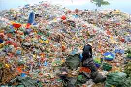 Plastic waste collection. Before the introduction of new regulations, the majority of used packaging was irresponsibly discarded into the environment. (Photo: VNA)