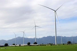 A wind power farm in Ninh Thuan province. (Photo: VNA)