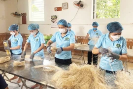 Workers produce vermicelli for export (Photo: hanoimoi,vn)