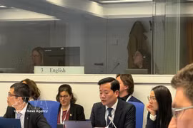 Nguyen Hoang Linh, Director of the Agency for Radiation and Nuclear Safety under the Ministry of Science and Technology, presents Vietnam’s national report at the 10th Review Meeting of the Convention on Nuclear Safety (CNS), held from April 13–17 in Vienna. (Photo: VNA)