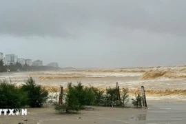Rough sea and heavy rainfall observed at the Sam Son beach resort, Thanh Hoa province, at noon on August 25. (Photo: VNA)