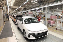 Hyundai Thanh Cong automobile manufacturing and assembly plant in Ninh Binh province. (Photo: VNA)