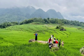 Pu Luong community tourism area in Thanh Hoa province attracts domestic and international tourists (Photo: VNA)