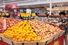 Illustrative photo (Photo: VNA)