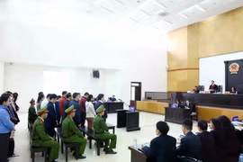 17 defendants brought to court in second phase of the "repartiation flight" case (Photo: VNA)