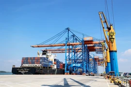 Super heavy-lift ships dock at Gemalink international port in former Ba Ria - Vung Tau province, which is now part of Ho Chi Minh City. (Photo: VNA)