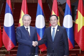 Party General Secretary To Lam (L) meets with Lao Prime Minister Sonexay Siphandone in Vientiane on December 1. (Photo: VNA)