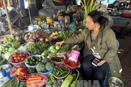 A fruit and vegetable stall at Nga Tu So market in Dong Da ward, Hanoi. (Photo: VNA)