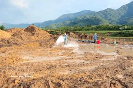 Treating dioxin-contaminated land at A So airport (Photo: VNA)