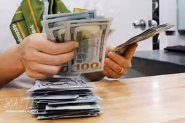 The daily reference exchange rate is set at 25,405 VND/USD on August 5. (Photo: VNA)