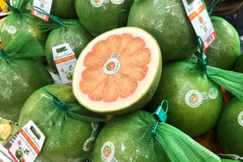 Vietnamese pomelos officially enter the Australian market. (Photo: VNA)