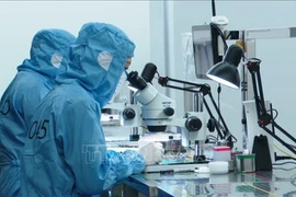 Camera manufacturing at Sunny Opotech Vietnam Co., Ltd. in Yen Binh Industrial Park in Thai Nguyen province. (Photo: VNA)