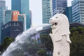 Higher risk appetite and more advanced use cases set Singapore firms apart, but gaps in governance, data and workflow integration continue to separate top performers from the rest, finds PwC's study. (Photo: Pexels)