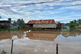 About 450 households in Ia Hiao commune, Gia Lai province, become isolated due to flooding following heavy rains. (Photo: VNA)