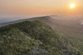 A view of the Khao Yai National Park. (Photo: thaipbs.or.th)