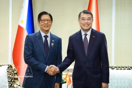 Vietnamese Prime Minister Le Minh Hung (R) and Philippine President Ferdinand Marcos Jr. at their meeting on the sidelines of the 48th ASEAN Summit in Cebu, the Philippines, on May 7, 2026. (Photo: VNA)