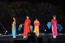 An Ao dai performance at the first Cultures of the World Festival (Photo: VNA)