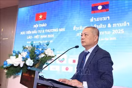 Director of the Agency of Foreign Trade under the Ministry of Industry and Trade Nguyen Anh Son speaks at the event (Photo: VNA)