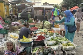 A traditional market on Lombok Island, Indonesia, where local products are sold. (Photo: VNA)