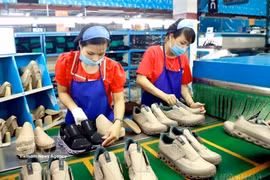 In the first half of 2026, footwear exports brought home approximately 12 billion USD. In the photo: Production of shoes for export at Phuc Yen Shoe JSC (Photo: VNA)