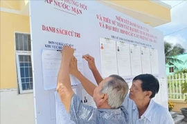 Voters study information of candidates to the 16th National Assembly and People’s Councils at all levels in the 2026-2031 tenure. (Photo published by VNA)