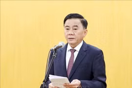 Politburo member and permanent member of the Party Central Committee’s Secretariat Tran Cam Tu (Photo: VNA)