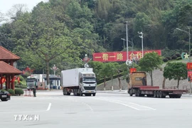 Vehicles carrying imports and exports at Huu Nghi International Border Gate in Lang Son province. (Photo: VNA)