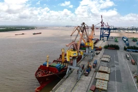 Export cargo ships at Tan Vu port, Hai Phong city (Photo: VNA)