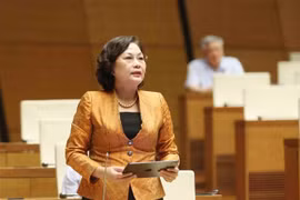 Governor of the State Bank of Vietnam (SBV) Nguyen Thi Hong speaks at the 15th National Assembly’s 9th session. (Photo: VNA)