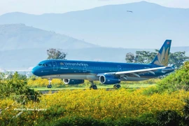 A plane of Vietnam Airlines (Illustrative photo: VNA)