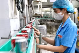 Illustrative image (Photo: sggp.org.vn)