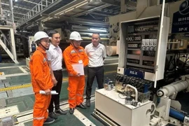 EVN engineers inspect electrical equipment at a factory in Hanoii (Photo: VNA)