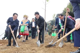 State President Luong Cuong and delegates plant trees in Lao Cai Ward, Lao Cai Province. (Photo: VNA)
